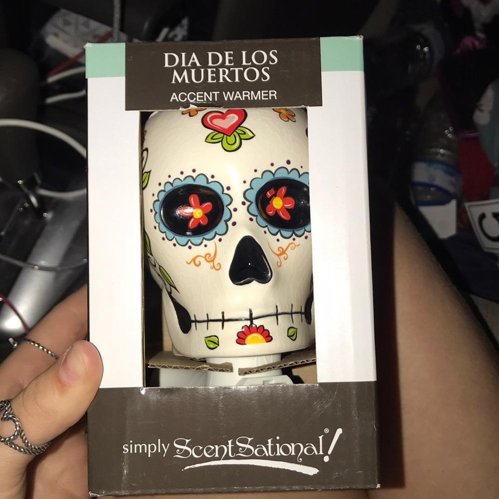 BRAND NEW ACCENT WARMER!